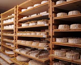 Wein und Käse, Maitre Antony